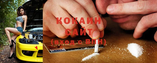 индика Баксан